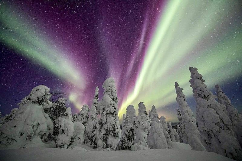 Northern Lights Viewpoint