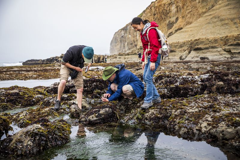 Tide Pool Treasure Hunt