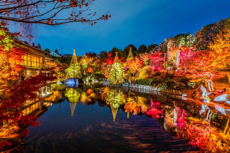 Secret Garden of Light, Japan