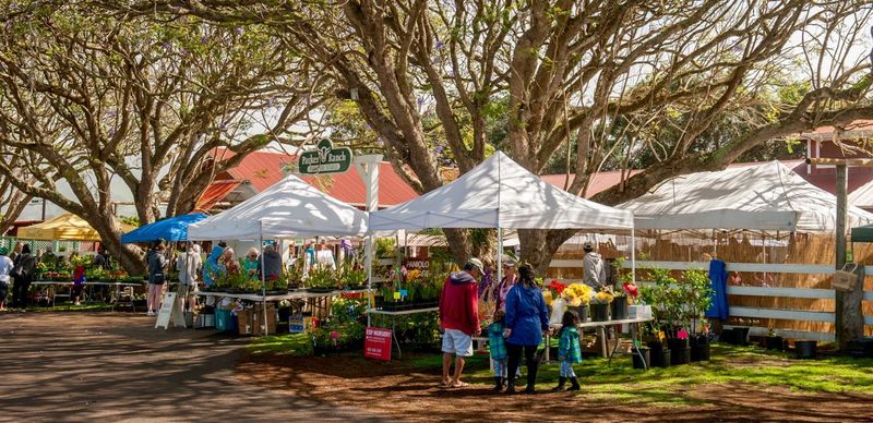 Local Farmer's Market