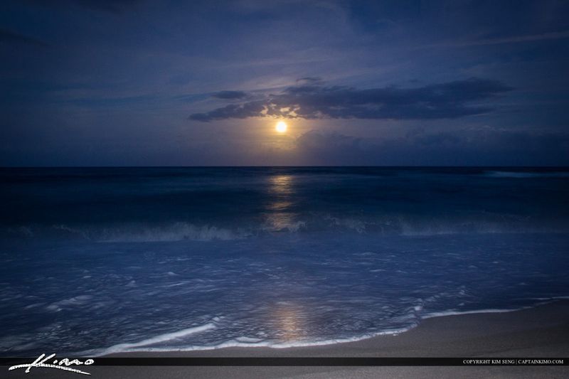 Moonlit Cove