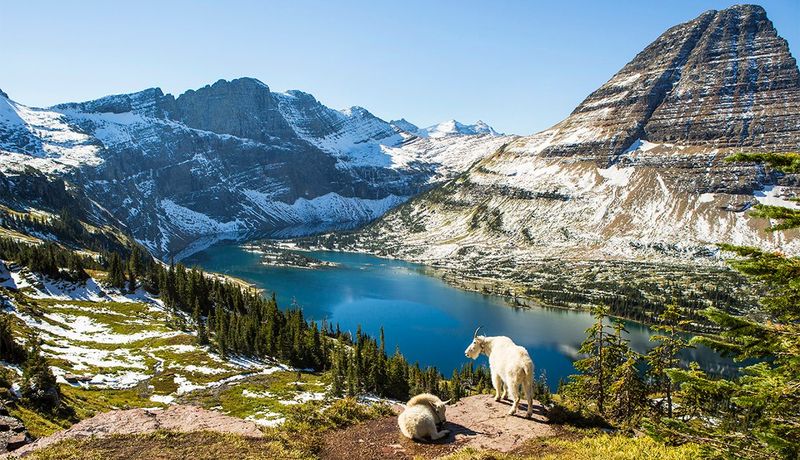 Glacier National Park, Montana