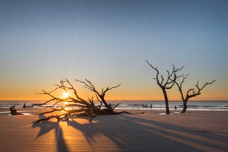 Boneyard Beach, South Carolina