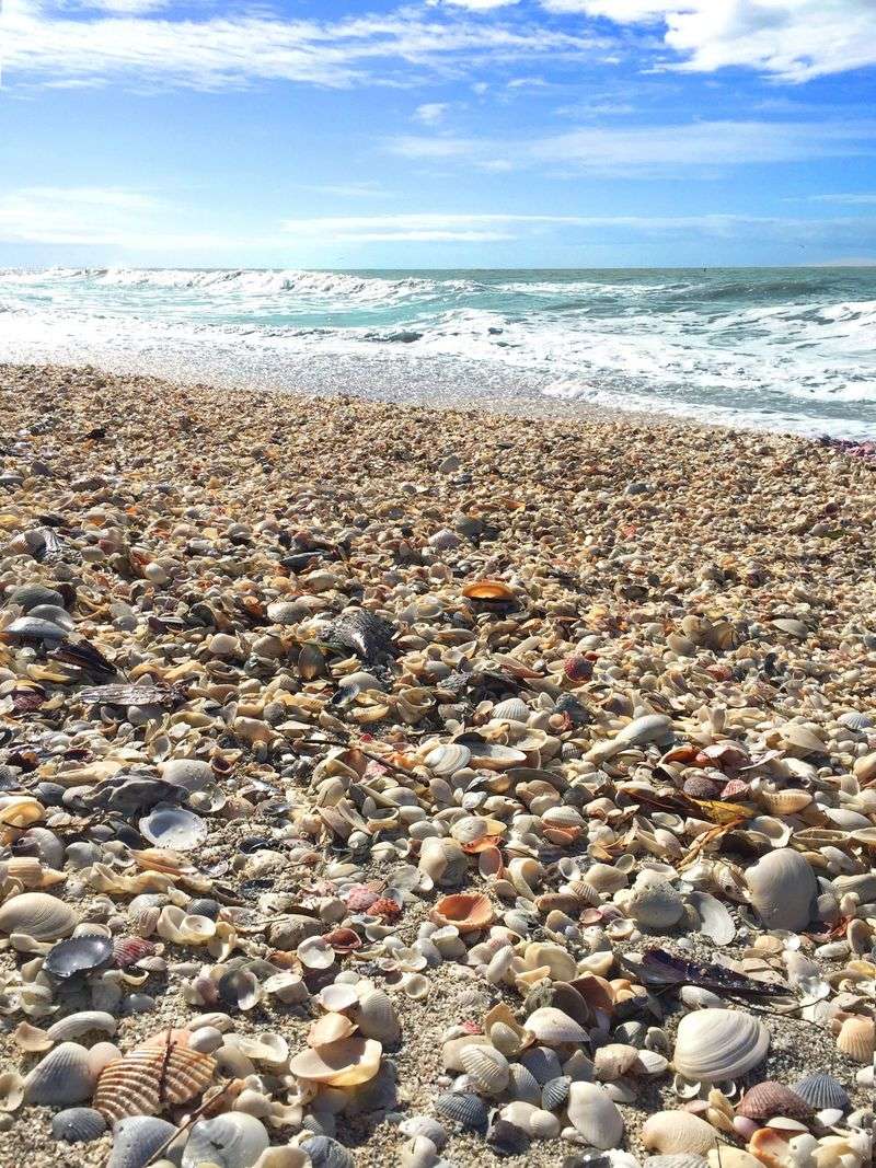 Bowman's Beach, Florida
