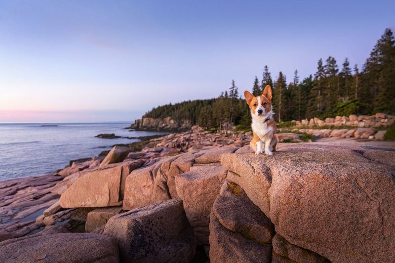 Bar Harbor, Maine