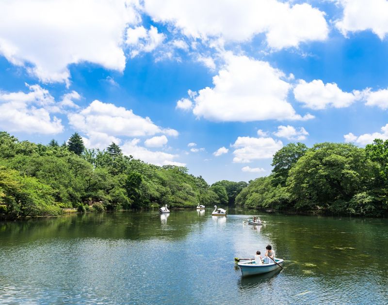 Kichijoji's Inokashira Park