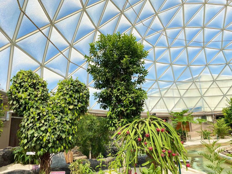 Behind the Seeds Tour at Epcot