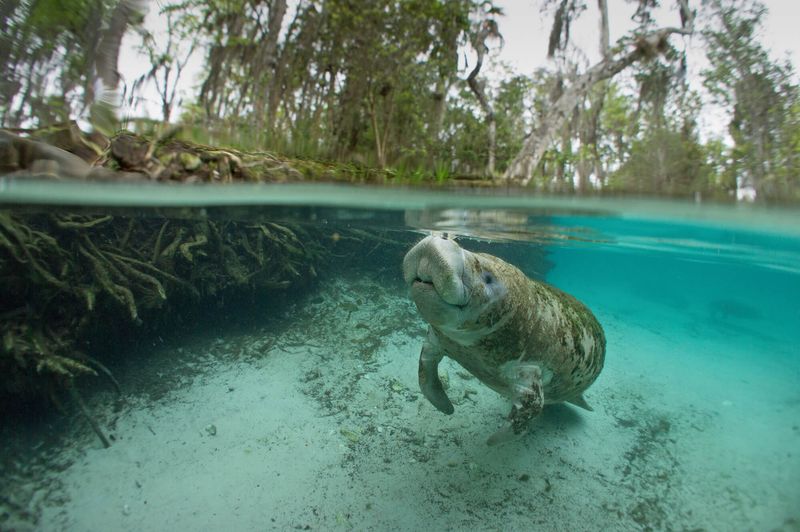 Everglades National Park, Florida