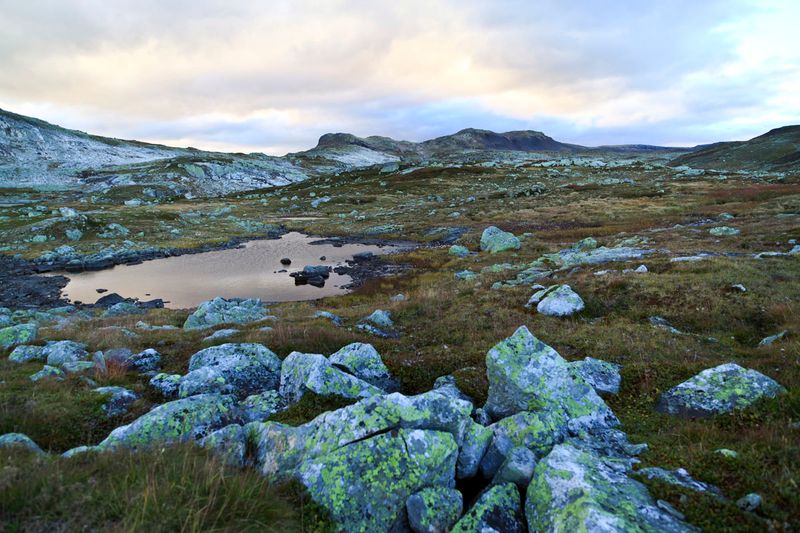 Rugged Hardangervidda