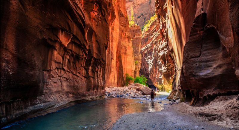Zion National Park