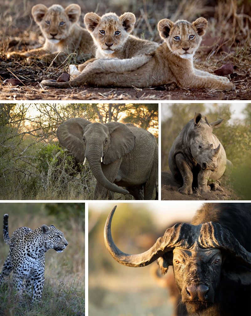 Kruger National Park