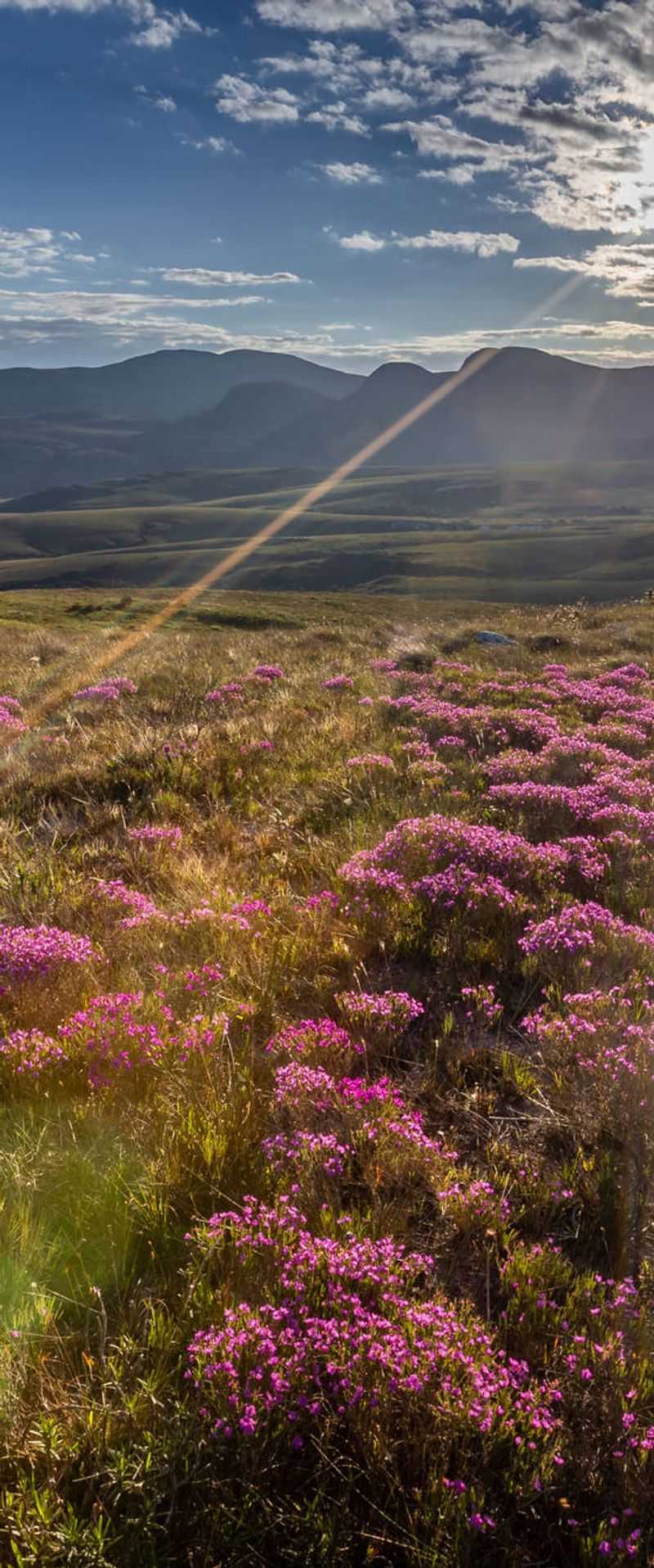 Serra do Cipó