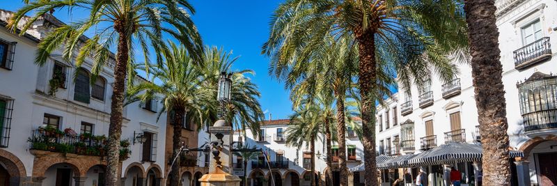 Zafra