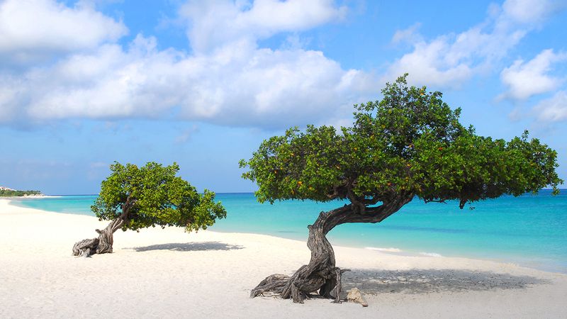 Eagle Beach, Aruba