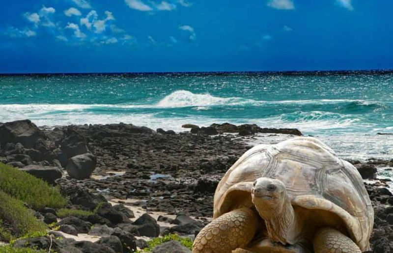 Galápagos Islands, Ecuador