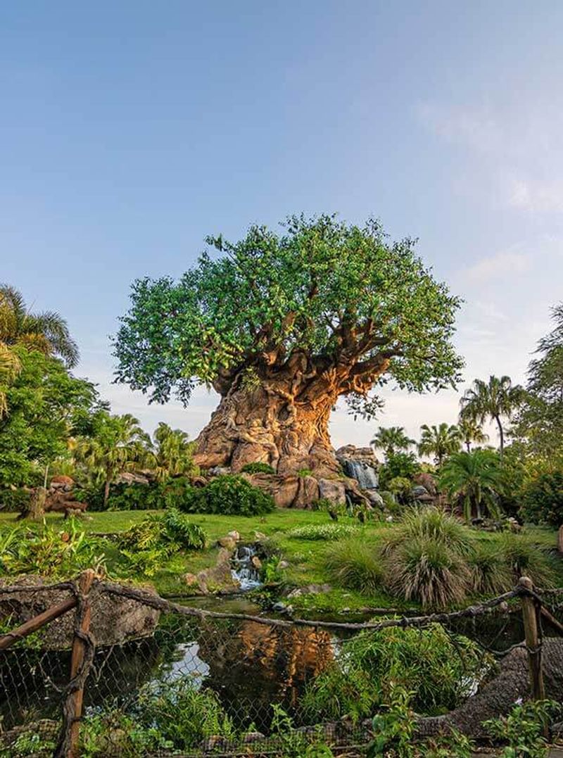 Disney's Animal Kingdom, Florida