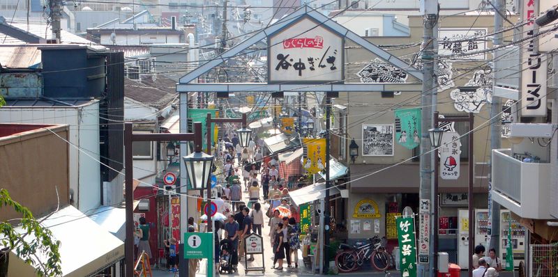 Yanaka Ginza Cat Street