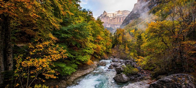 The Enchanted Forest of Ordesa