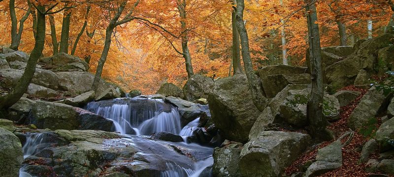 Montseny Natural Park