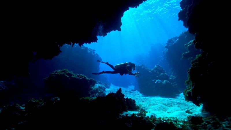 Reef Echo