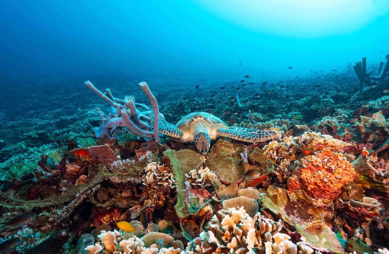Gili Islands, Indonesia
