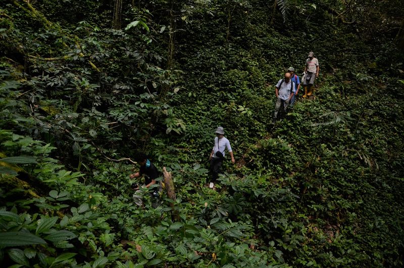 Try: Borneo Rainforest, Malaysia