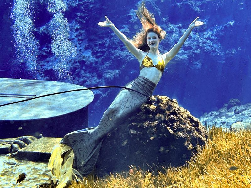 Try: Weeki Wachee Springs State Park, Florida