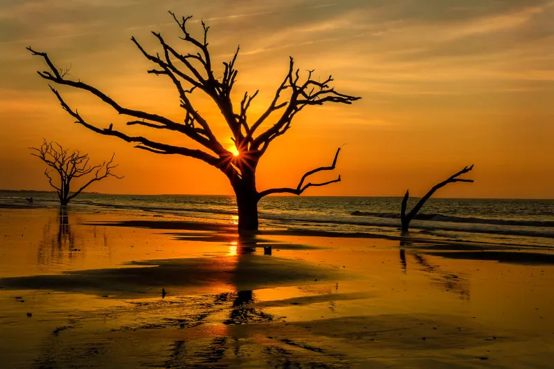 Visit: Edisto Beach, South Carolina