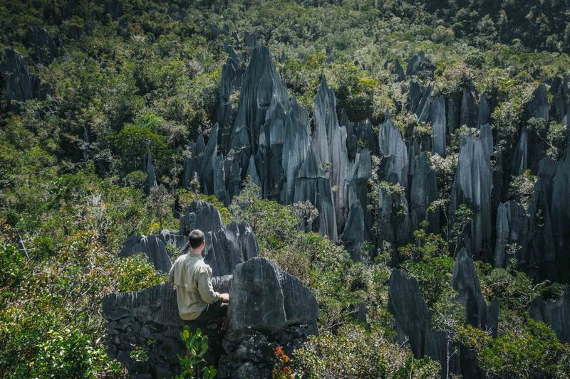 Try: Gunung Mulu National Park, Malaysia