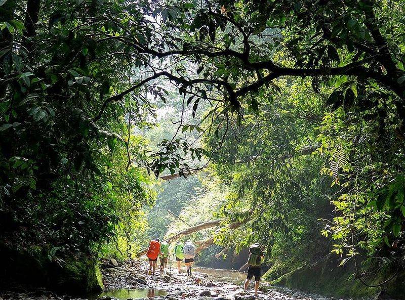 Try: Bukit Lawang, Indonesia