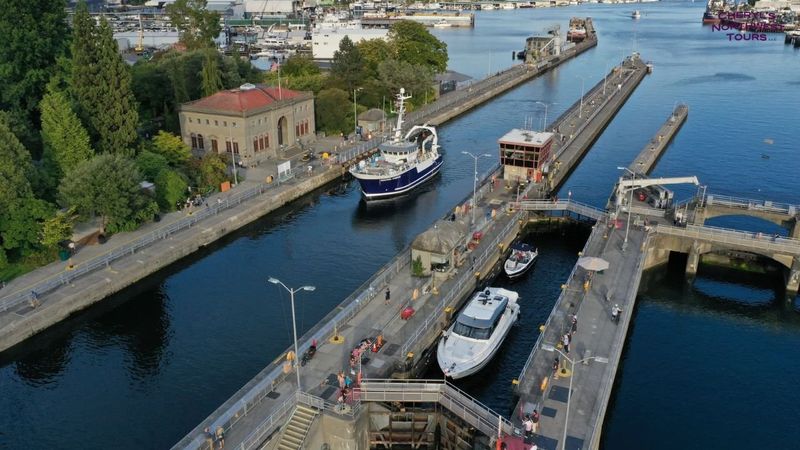 Try: Ballard Locks, Seattle
