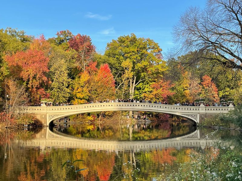 Try: Central Park, New York