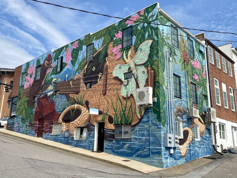 Asheville, North Carolina