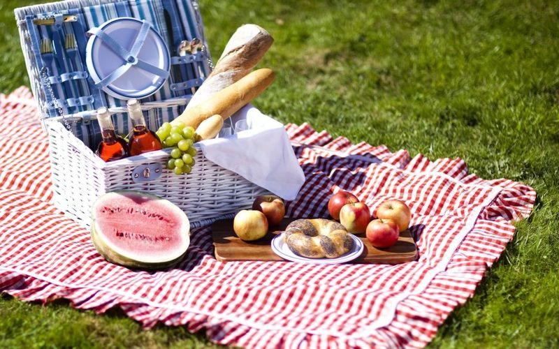 Compact Picnic Set