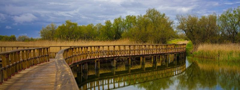 Las Tablas de Daimiel National Park