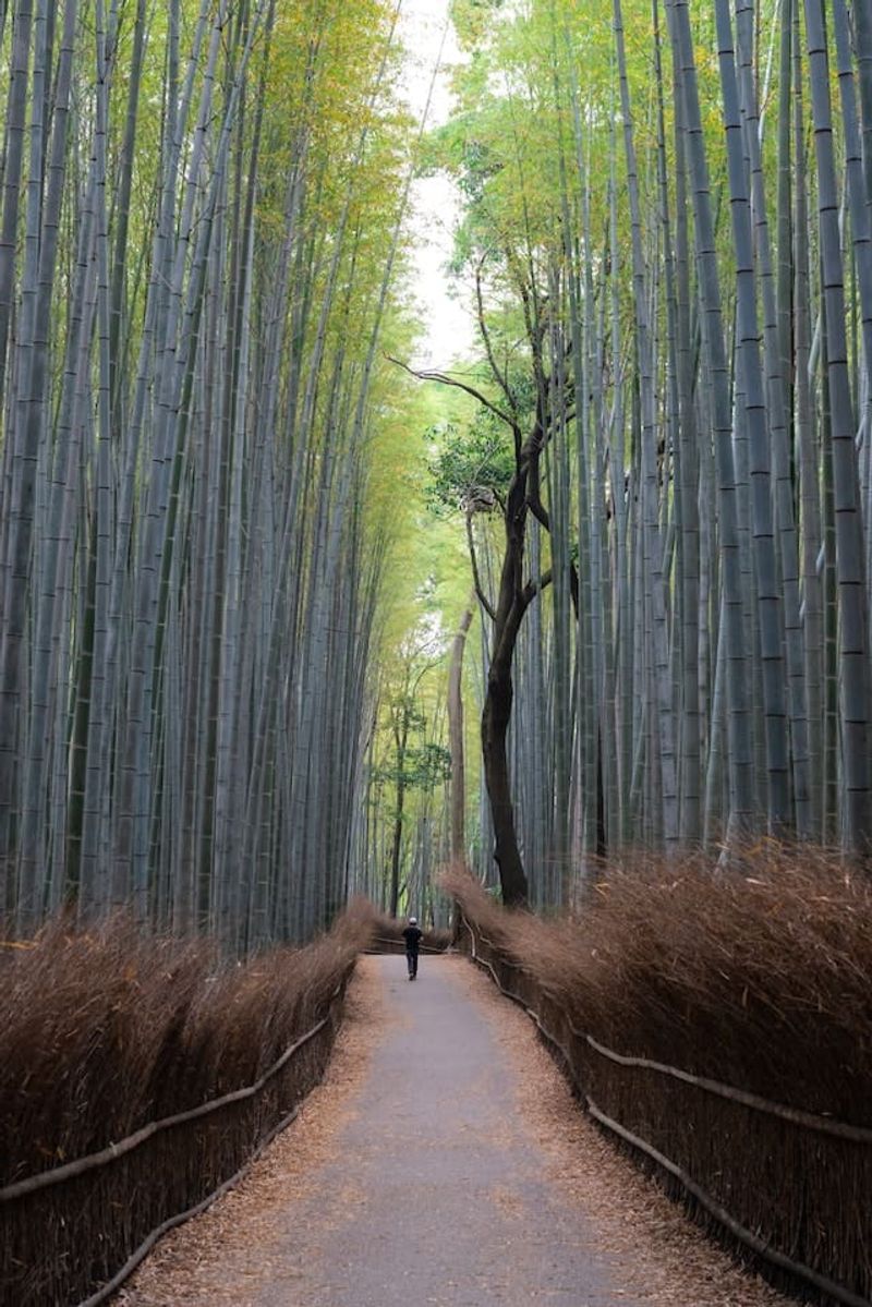 Kyoto, Japan