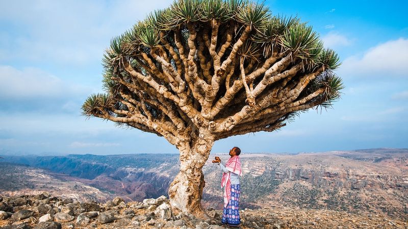 Socotra, Yemen