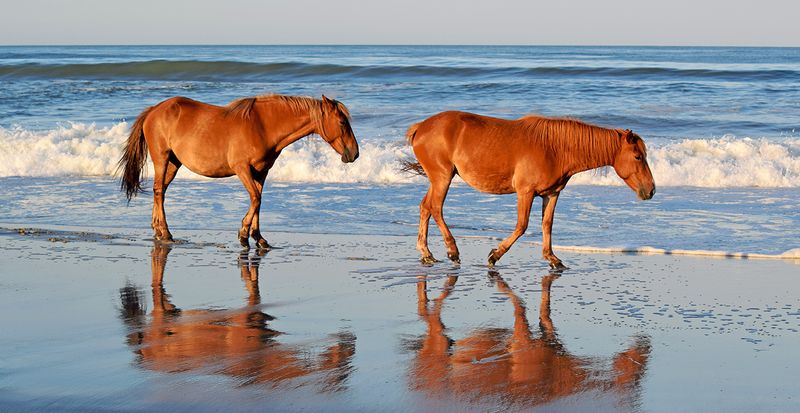 Outer Banks, North Carolina