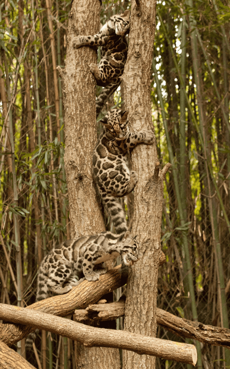 Tennessee - Nashville Zoo