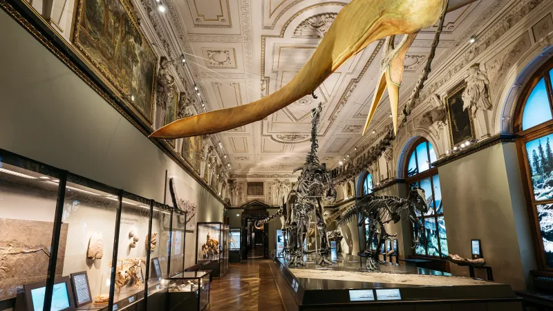 Museum of Natural History