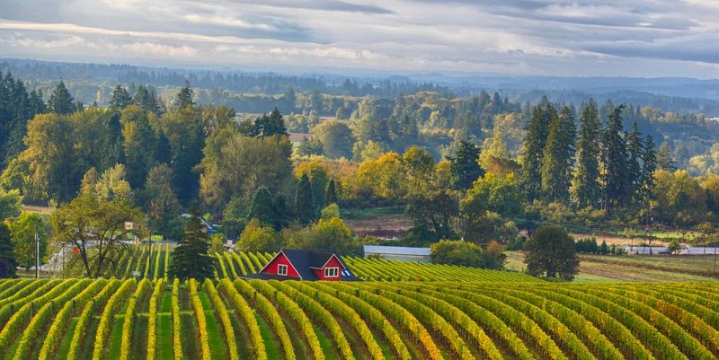 Willamette Valley, Oregon