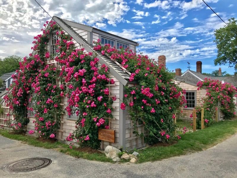 Siasconset, Massachusetts