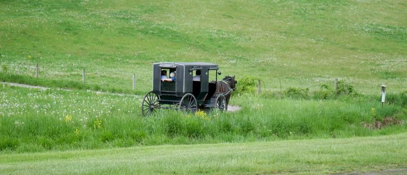 Amish Country Adventures in Ohio