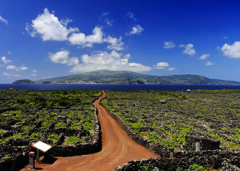 Pico Island Vineyards, Portugal