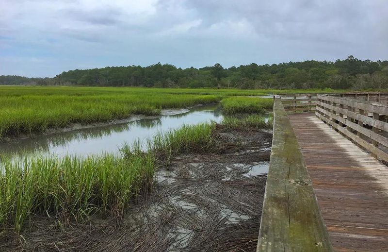 Huntington Beach State Park, South Carolina