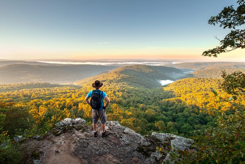 Ozark-St. Francis National Forest