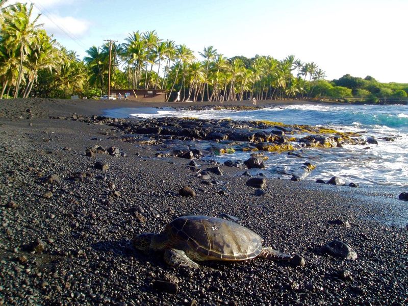 Black Sand Beaches of Punalu'u