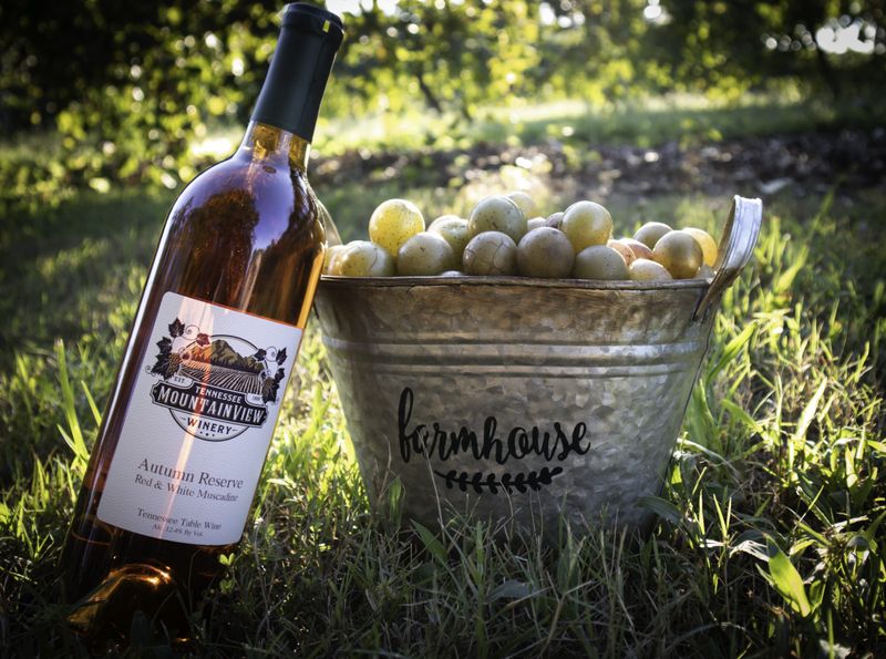 Local Winery