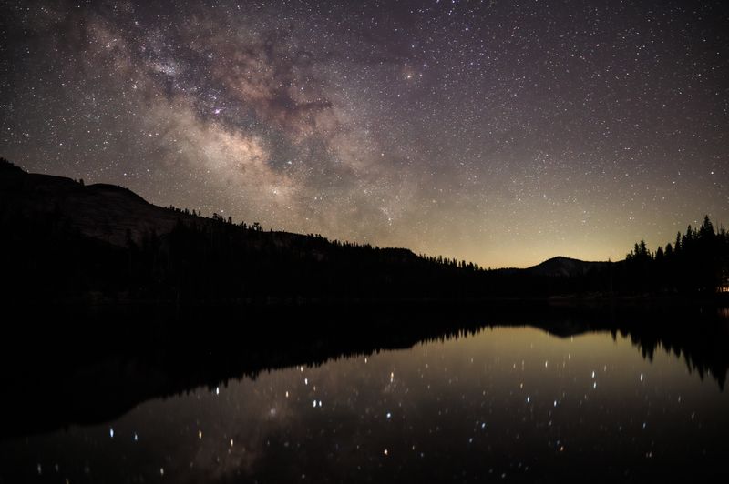 Star Gazing at Clear Night Meadow