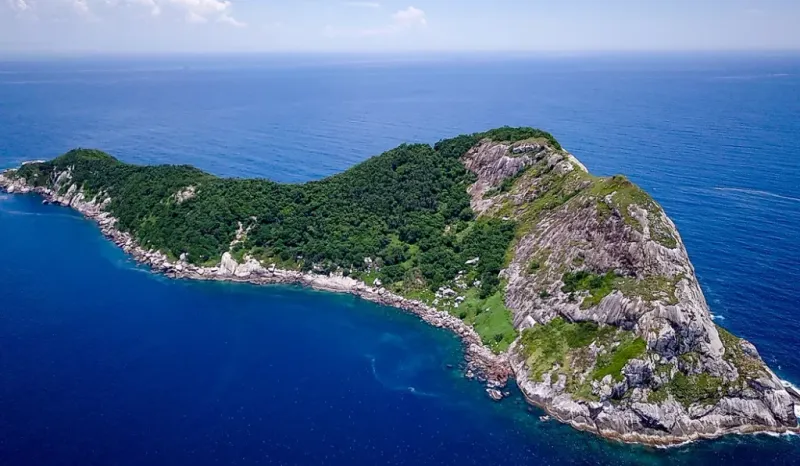 Ilha da Queimada Grande